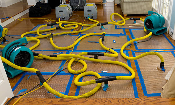 Professional Burst Pipe Water Damage technician working in Nederland, TX